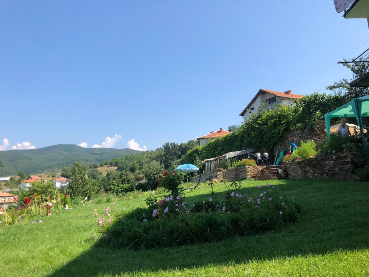 Guest House Agush Kribul Екстер'єр фото